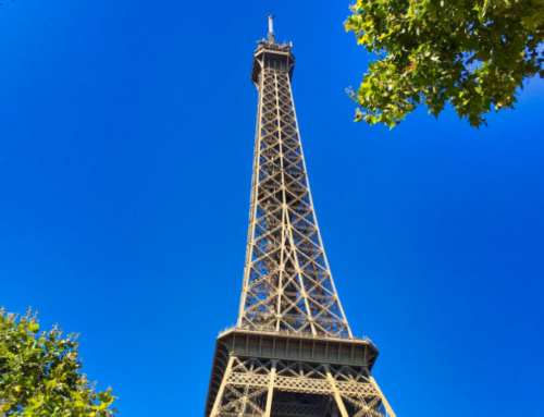 1 day in Paris