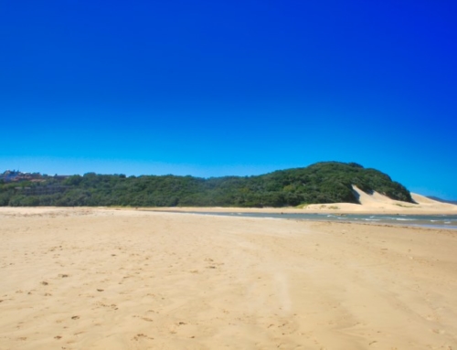 Nahoon Beach