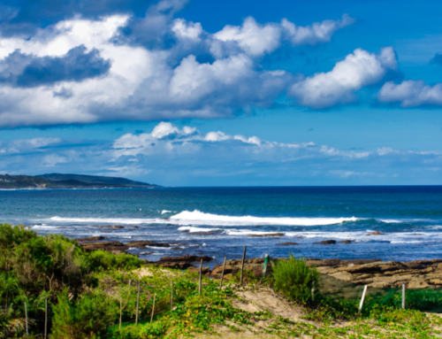 Transkei