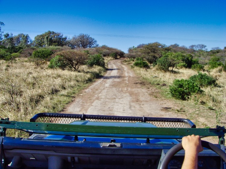 Inkwenkwezi Game Reserve Inkwenkwezi Game Reserve