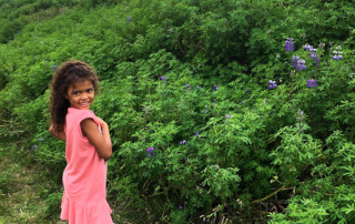 Fun in the Countryside