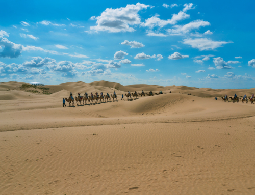 Desert in Inner Mongolia