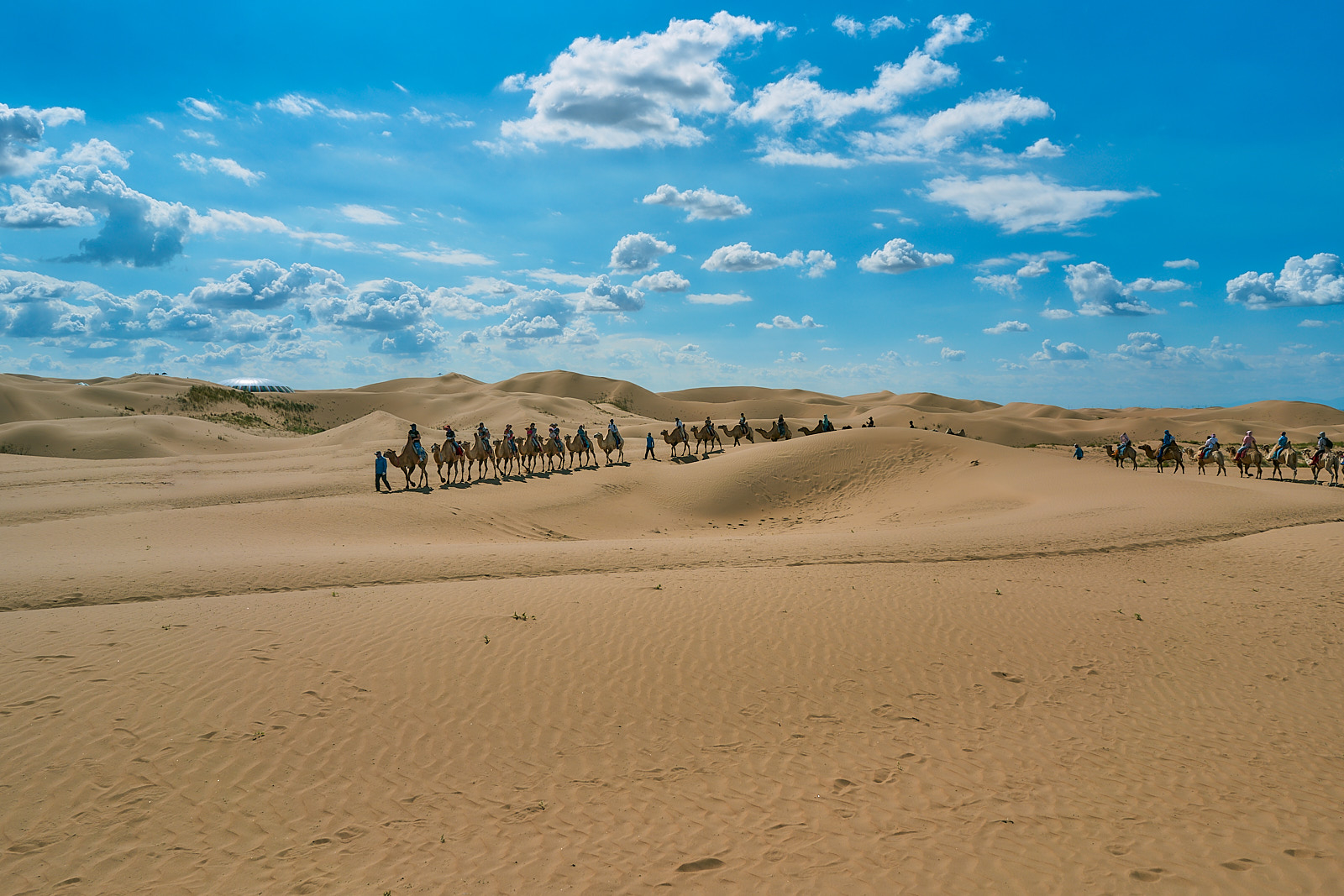 In the Kubuqi Desert