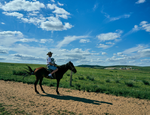 The amazing Mongolian Grasslands
