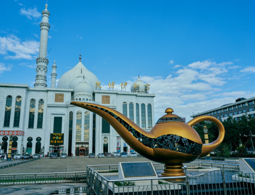 In the City of Hohhot