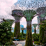 Gardens by the Bay