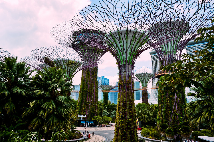 Gardens by the bay Gardens by the Bay